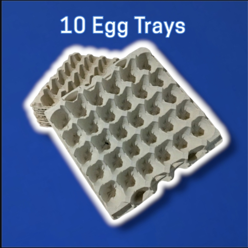 Egg Trays - Pack of 10